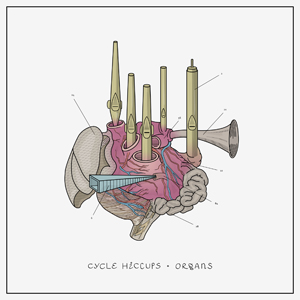 Organs by Cycle Hiccups